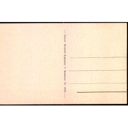 Skovvej i Hornb�k Plantage - Hornb�k Bogh. 14513