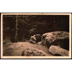 Offerstenene i Hornb�k Plantage - H. Mogensen 33736