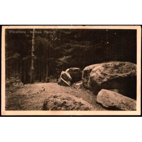 Offerstenene i Hornb�k Plantage - H. Mogensen 33736