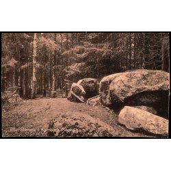 Offerstenene i Hornb�k Plantage - H. Mogensen 33736