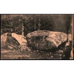 Offerstedet i den store Plantage - H. Mogensen u/n