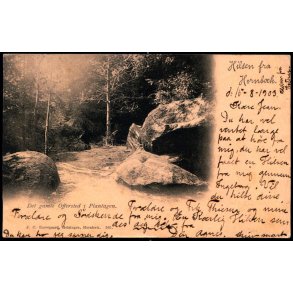 Hilsen fra Hornb�k - Det gamle Offersted i Plantegen - J.C. Borregaard 365