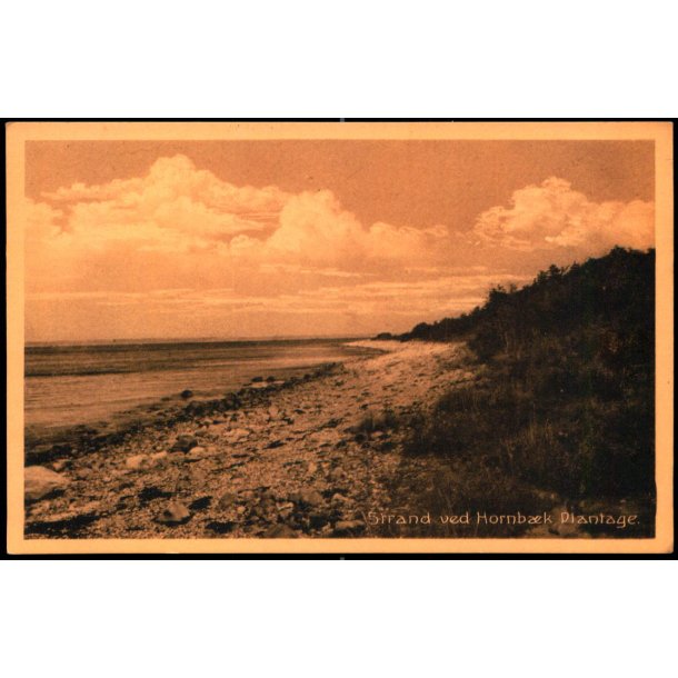 Strand ved Hornb�k Plantage - H. Mogensen 33740