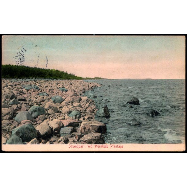 Strandparti ved Hornb�k Plantage - Alex Vincent 3101