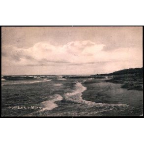 Hornb�k i Storm - H. Mogensen 19737