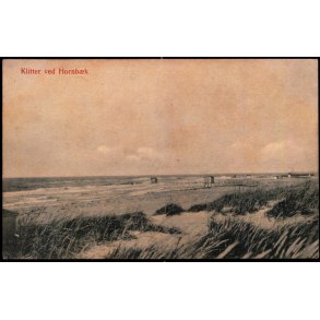 Klitter ved Hornb�k - L. Christensen 897