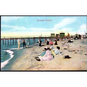 Hornb�k Strand - Alex Vincent 719