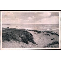 Klitter ved Hornb&aelig;k Strand - H. Mogensen 66118