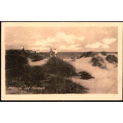 Klitter ved Hornb�k - V. T�rck 606