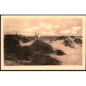 Klitter ved Hornb�k - V. T�rck 606