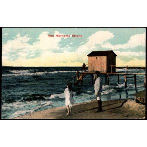 Ved Hornb�k Strand - Alex Vincent 534