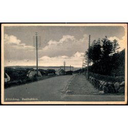 Kildekrog - Baalbakken - Kbm. Harriet Leegaard 6028