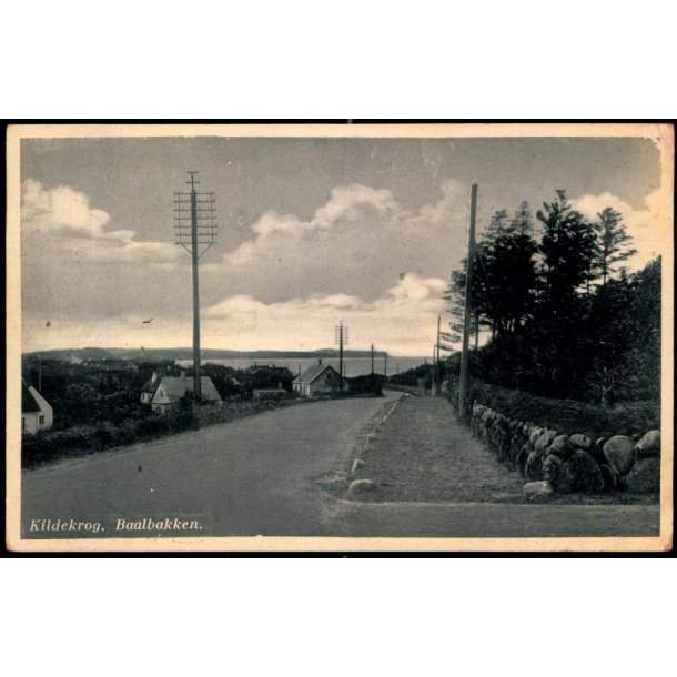 Kildekrog - Baalbakken - Kbm. Harriet Leegaard 6028