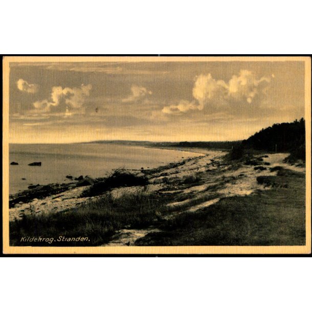 Kildekrog - Stranden - Kbm. Harriet Leegaard 180