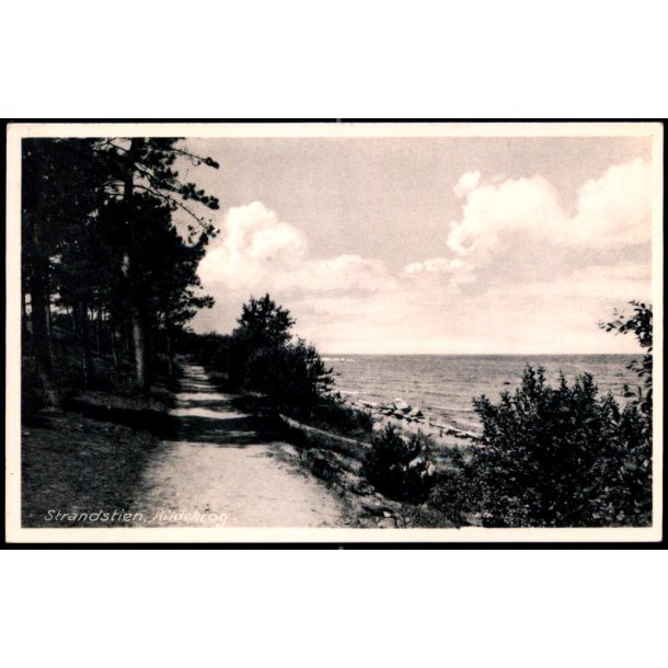 Strandstien - Kildekrog - Kbm. Harriet Leegaard 5043