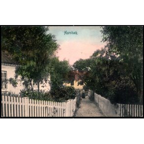 Hornb�k - Peter Alstrup 882