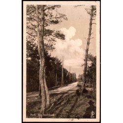 Parti fra Hornb�k - Chr. Olsen 1675