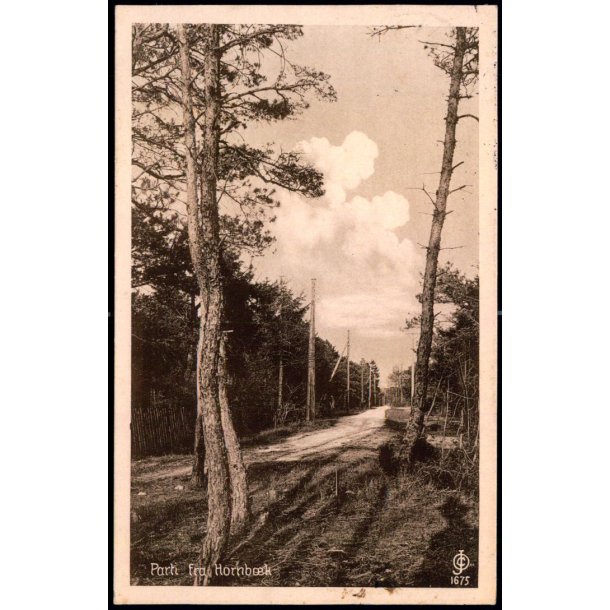 Parti fra Hornb�k - Chr. Olsen 1675