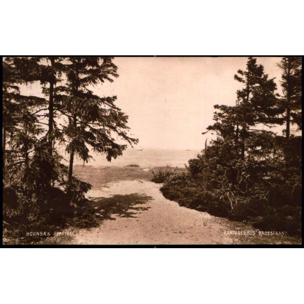 Sandagerhus Badestrand - Hornb�k Plantage - V. T�rck 2190