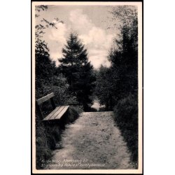 Kildekrog - Nedgang til Stranden fra Rekreationshjemmet - Kbm. H. Leegaard 1349