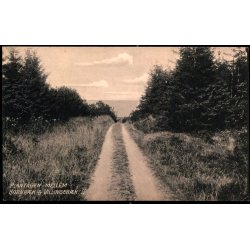 Plantagen mellem Hornb�k og Villingeb�k II - V. T�rck 448