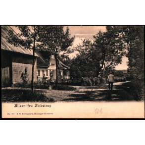 Hilsen fra Skibsstrup - J.C. Borregaard 453