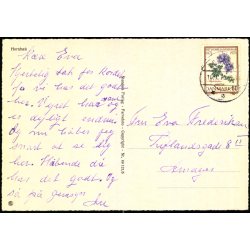 Hornb�k - Stender 49 121/5