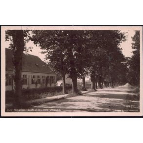 Slagelse - Slotsalleen med Liselund -Stender 505