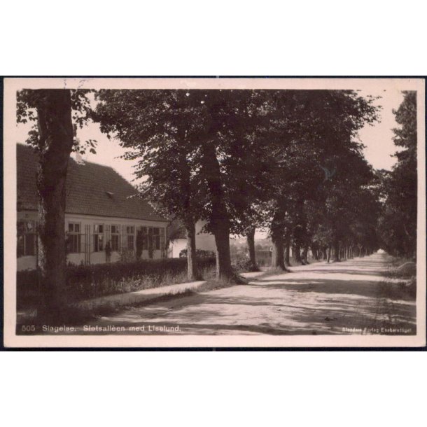 Slagelse - Slotsalleen med Liselund -Stender 505
