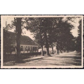 Slagelse - Slotsalleen med Liselund - Stender 29