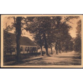 Slagelse - Slotsalleen med Liselund - Stender 27990