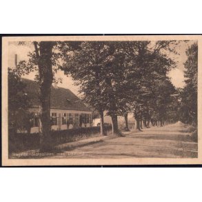 Slagelse - Slotsalleen med Liselund - Stender 27990