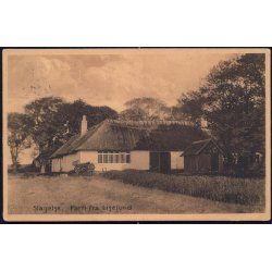 Slagelse - Parti fra Liselund - Stender 20941