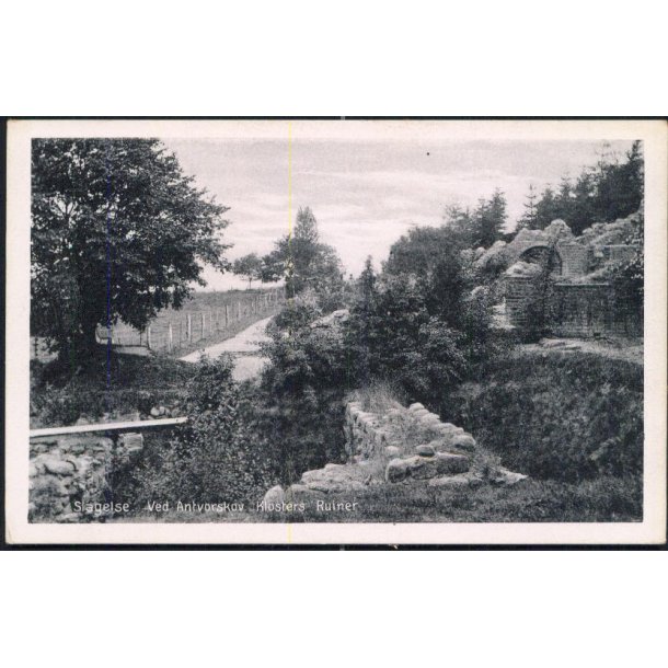 Slagelse - Ved Antvorskov Klosters Ruiner - Stender 23