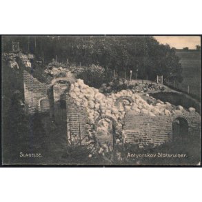 Slagelse - Antvorskov Slotsruiner - Stender 960