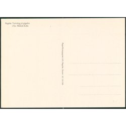 Slagelse- Torvedag p&aring; g&aring;gaden - Papirkompagniet 143 214 006