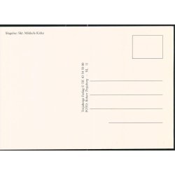 Slagelse - Sct. Mikkels Kirke - Trojaborg SL 11