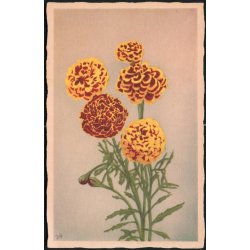 Hancke - Fl&oslash;jelsblomst - Stender Serie 1500