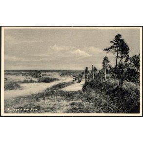 Klitparti fra Fed - H.P.Christiansens 93757