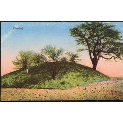 Elverhj - P.N.Tinglef 1501