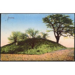 Elverhj - P.N.Tinglef 1501