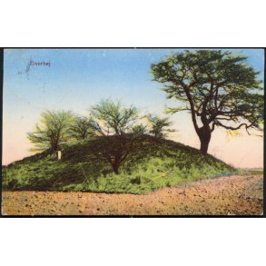 Elverhj - P.N.Tinglef 1501