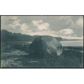 Musestenen - P.N.Tinglef 957