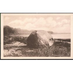 Musestenen - P.N.Tinglef 95