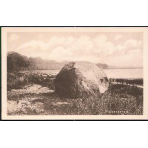 Musestenen - P.N.Tinglef 95