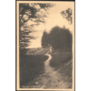 Parti fra Vemmetofte Strand - H.P. Christiansen 33180