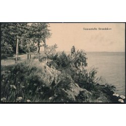 Vemmetofte Strandskov - Tinglef 960