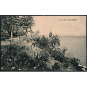 Vemmetofte Strandskov - Tinglef 960