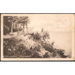 Vemmetofte Strandskov - Tinglef 960