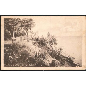 Vemmetofte Strandskov - Tinglef 960